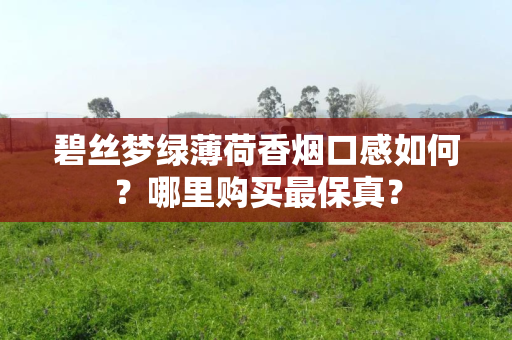 碧丝梦绿薄荷香烟口感如何？哪里购买最保真？