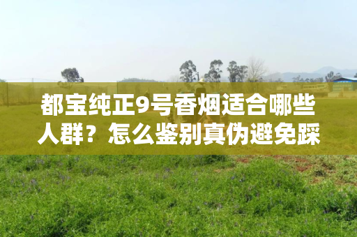 都宝纯正9号香烟适合哪些人群？怎么鉴别真伪避免踩坑？